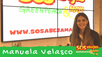 Manuela Velasco - Campaña #SosAbejas Maya & Greenpeace